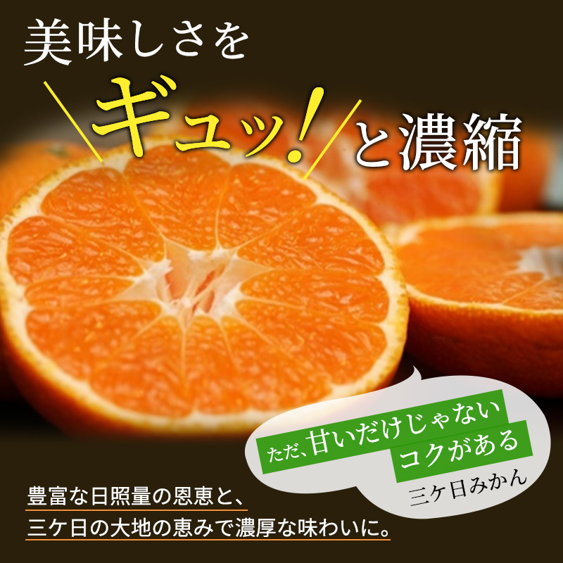 先行予約 青島みかん 大玉 4.5kg 三ヶ日みかん 果物 くだもの フルーツ 旬の果物 旬のフルーツ みかん 蜜柑 ミカン 三ヶ日 青島 柑橘 柑橘類 静岡 静岡県 浜松市