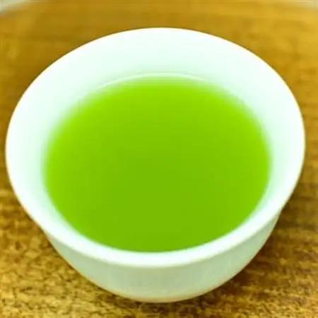 【訳あり】茶審査技術八段・大井丈司監修 深蒸し掛川茶一番茶60g×15袋【配送不可地域：離島・沖縄県】【1119946】