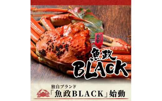 【蟹の匠 魚政】茹で　プレミアムズワイガニ 魚政BLACK（松葉ガニ・越前ガニ）特撰 中サイズ（800〜900g） 2匹セット(1月〜3月発送） 松葉蟹 蟹 かに カニ ガニ がに ボイル 海産物 甲