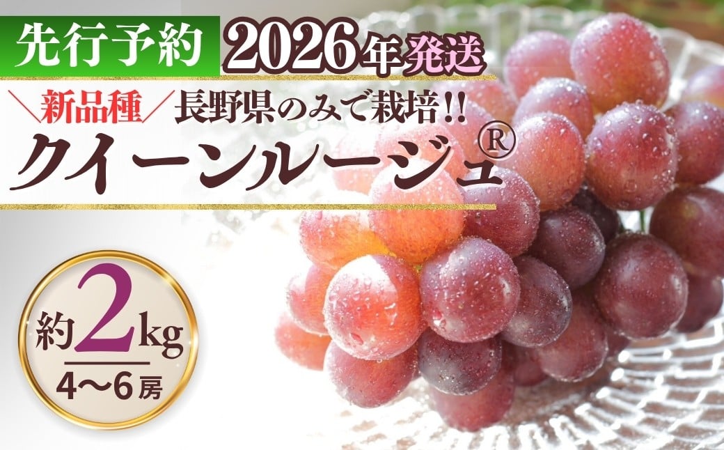 
            【2026年先行予約】クイーンルージュ® 約2kg（4~6房）※最低1.8kg以上｜ 果物 フルーツ 赤ぶどう 葡萄 ブドウ 種無し 種なし 皮ごと 千曲市 長野県 信州
          