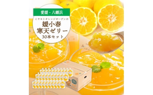 ゲル化剤・pH調整剤不使用!愛媛産 媛小春寒天ゼリー 30本セット＜H25-238＞【1630020】
