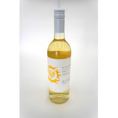 ふるさと納税 宮城県 【南三陸ワイナリー】ヴェルデレー　白(辛口)　750ml×1本