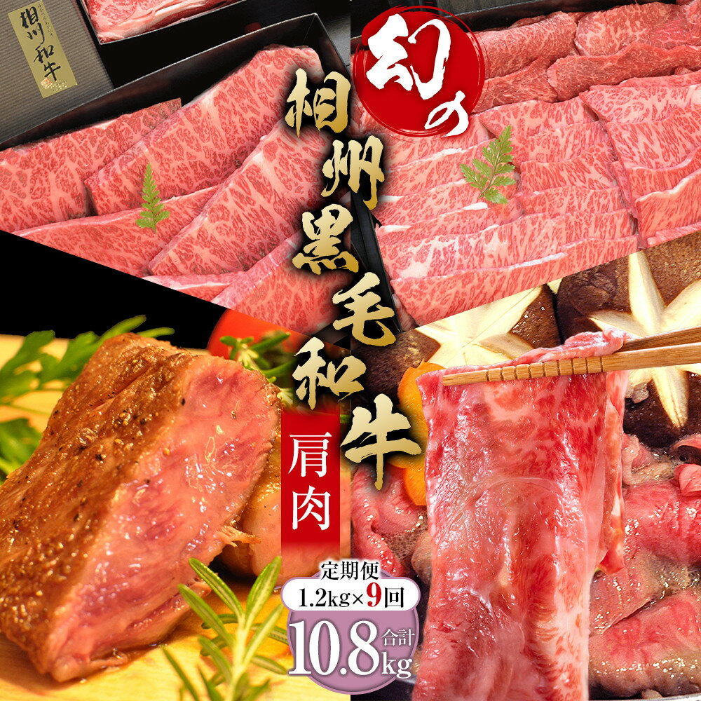 【ふるさと納税】牛肉 定期便 9回 幻の相州黒毛和牛肩肉 1.2kg×9回 計10.8kg【相州黒毛和牛 相州牛 幻の牛肉 極上の旨味と風味 キメ細かな上質の脂 様々な料理に ブランド牛 ブランド牛肉 神奈川特産品 神奈川県 小田原市 】