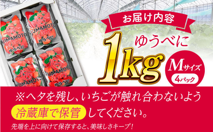 いちご Mサイズ ゆうべに 1kg（4pc）【熊本ベリー】いちご イチゴ 苺 ゆうべに 大粒いちご  [ZER007]