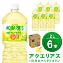 【ふるさと納税】アクエリアス 1日分のマルチビタミン PET 2L (6本)【アクエリ スポーツ飲料 夏バテ予防 水分補給 ビタミン補給 ビタミンC ミネラル クエン酸 2L 2リットル ペットボトル ペット スポーツ イベント】Z-R090009