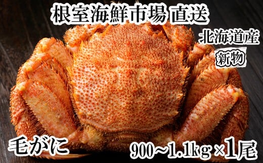 F-28029 根室海鮮市場＜直送＞ボイル毛がに900g～1.1kg×1尾