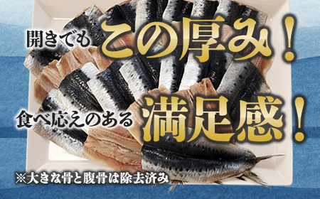 無塩いわし開き 40尾 骨抜き 鰯 干物