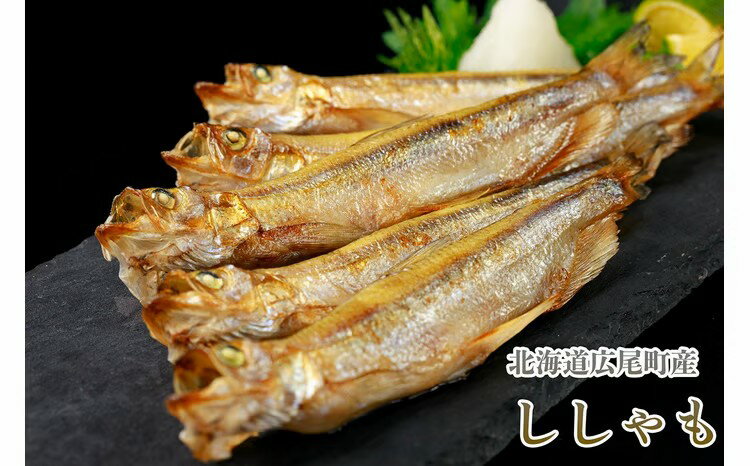 【ふるさと納税】岡嶋水産　生乾しししゃも中メス40尾(C0043)
