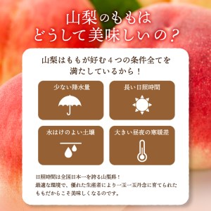 〈2026年度配送分〉山梨県産 桃 約2kg（6～8玉）