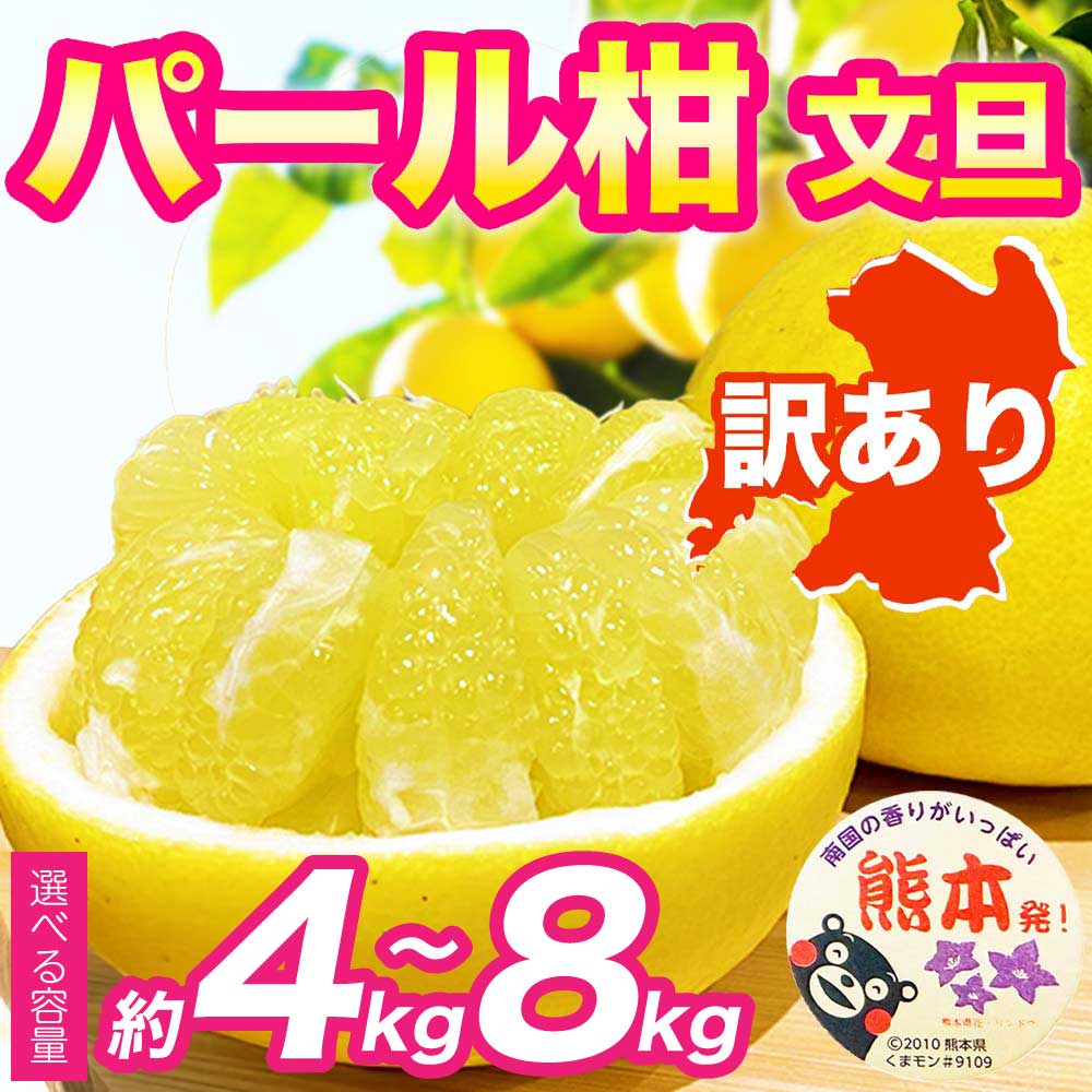 【ふるさと納税】 先行予約 訳あり パール柑 選べる容量 約4kg 約8kg 【2027年2月上旬～2027年3月下旬発送予定】ぱーるかん 文旦 ぶんたん 果物 フルーツ くだもの 柑橘 柑橘類 グレープフルーツ 国産 熊本 熊本県 九州 産地直送 わけあり ワケアリ 日本フルーツ