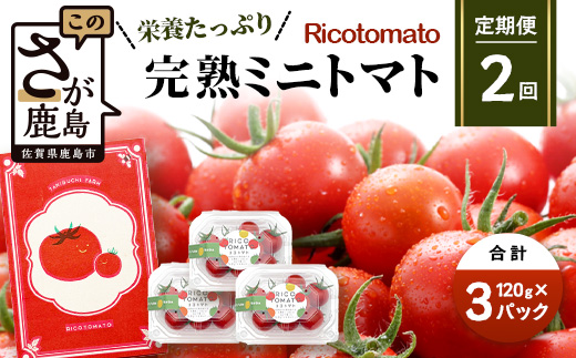 【2回定期便】【先行受付】2027年1月より順次発送予定【少量パック】完熟ミニトマト 360g (120gx3p) プチトマト 野菜 農家直送 佐賀県鹿島市 たにぐちファームRicotomato～とりこになるトマト～　C-148