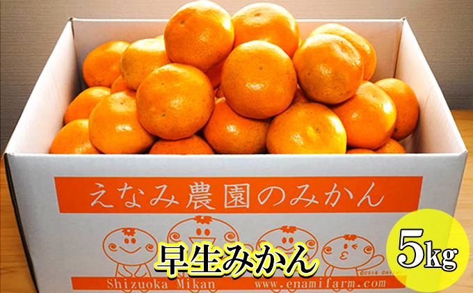 【2026年11月上旬以降順次発送】えなみ農園の早生みかん 5kg（S～Lサイズミックス） 果物類 柑橘類 フルーツ ミカン