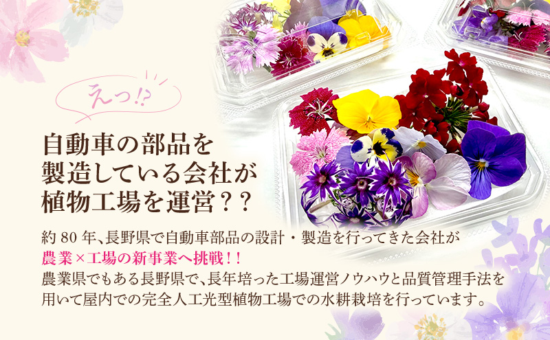 栽培期間中無農薬で安心！屋内水耕栽培で彩り豊かなエディブルフラワーを季節を問わずお届けします！品種おまかせ　20輪相当×３パック 食用花 お花 料理 お菓子 デザート