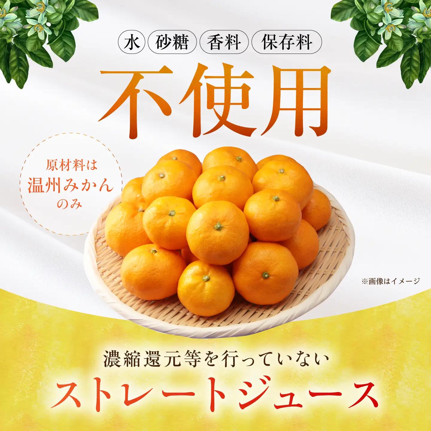 さがみかん100%搾り 2箱（330ml×12本入/箱） 【JAさが 杵島支所】[HAM099]