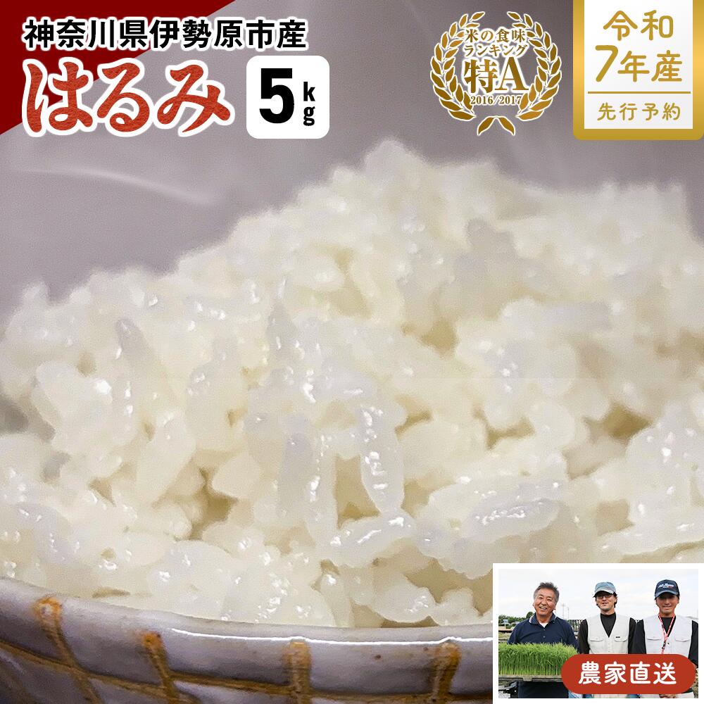 【ふるさと納税】新米 [令和7年産] 伊勢原産 精米 5kg はるみ 農家直送！亀井さんちのうんめぇ！自家製米｜お米 おこめ コメ 白米 神奈川 伊勢原 ブランド米 2025年 産地直送 先行予約 予約受付 [0355]