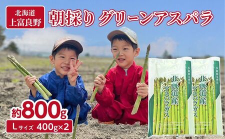 数量限定！	先行予約 【令和8年産】 アスパラガス 専門農家 の 特選 グリーン アスパラ 800g  L サイズ 原農園 アスパラ あすぱら 野菜 北海道 上富良野町