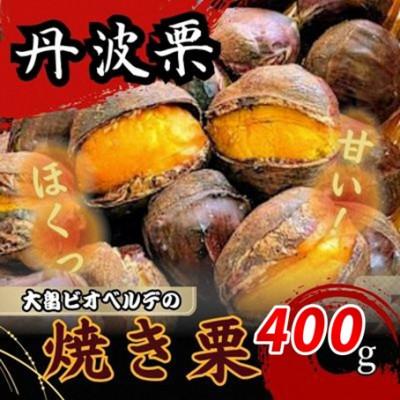 ふるさと納税 綾部市 京都府綾部産 丹波栗焼き栗 計400g