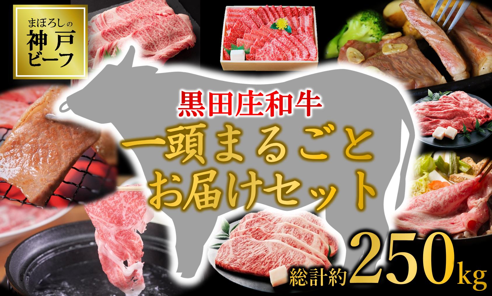 
            【まぼろしの神戸ビーフ】黒田庄和牛１頭まるごとお届けセット （10000-1）肉 niku にく オーダー 定期便 完全受注 個別対応 カスタム 黒田庄和牛 焼肉 すき焼き しゃぶしゃぶ ステーキ  丸ごと まるごと 1頭買い
          