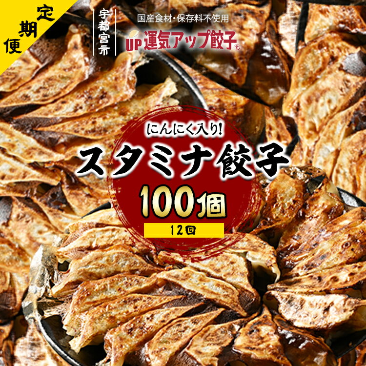 【ふるさと納税】【定期便12回】宇都宮餃子 運気アップ餃子 ニンニクマシマシスタミナ餃子100個　保存料不使用【ぎょうざ ギョウザ ギョーザ 冷凍食品 冷凍餃子 惣菜 夜ご飯 おかず おつまみ 手軽 時短 お取り寄せ グルメ 送料無料 栃木県 】※配送不可地域：離島