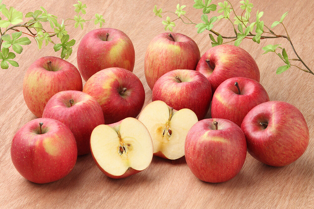 【寄附金額見直しました】【26年2月発送】りんご 葉取らずサンふじ【訳あり】約3kg キタエアップル