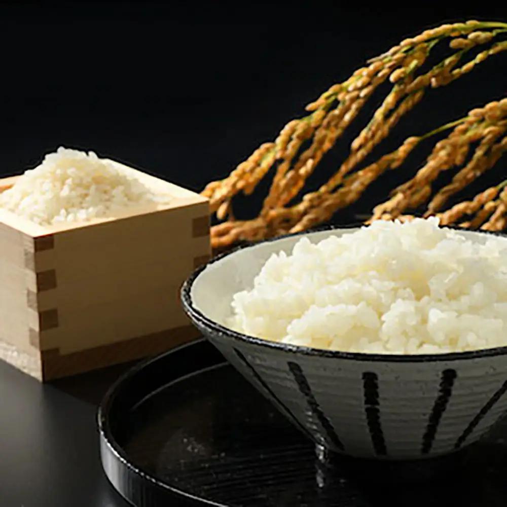 無洗米 食べ比べセット 10キロ(5kg×2) コシヒカリ 天のつぶ｜令和7年産 高ライスセンター