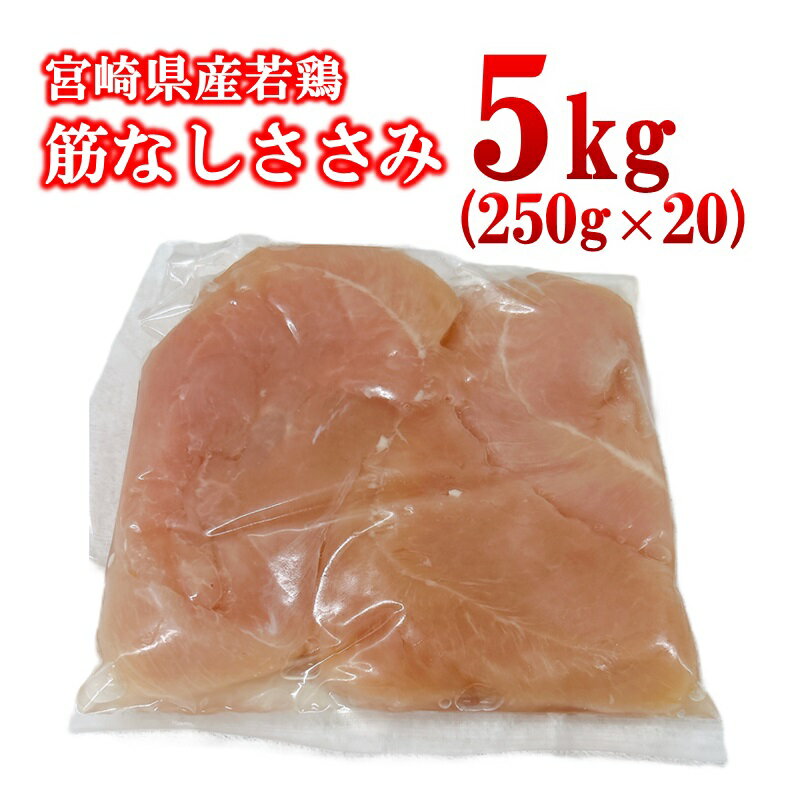 【ふるさと納税】宮崎県産若鶏 筋なしささみ 5kg 小分け250g×20パック ＜2.3-4＞鶏肉 ササミ 真空パック
