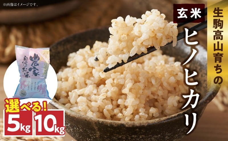 
            【選べる内容量】生駒高山育ちのヒノヒカリ玄米（生産者　上武猛)　令和7年産新米　生駒高山育ち 生産者 上武猛 おいしい お米 米 こだわり ライス 安全 健康 栄養 ご飯 おにぎり 人気 おすすめ お取り寄せ おすそ分け 奈良県産 常温 ライス 備蓄米 送料無料
          