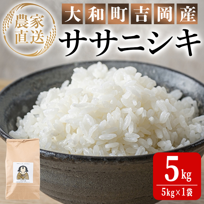 【令和7年産 新米】お米農家直送！ササニシキ 5kg お米 おこめ 米 コメ 白米 ご飯 ごはん おにぎり 宮城米 ささにしき 新米 令和7年産 お弁当 【お米農家ろくすみファーム】 ta522