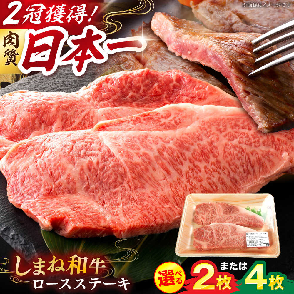 【ふるさと納税】しまね和牛 ロースステーキ（サーロイン・リブロース） A4ランク以上 220g×2枚or4枚 サーロインステーキ ステーキ肉 肉 牛肉 和牛 モモ肉 赤身肉 にく 牛 お取り寄せ グルメ 人気 送料無料 島根県雲南市/Do corporation株式会社[AIDI005]