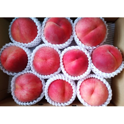 山形の旬の桃(品種おまかせ)3kg　0030-2410