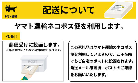 ちいさな 黒いちじく羊羹 小3本入り（43g x 3本） 高木羊羹本舗 和菓子　ネコポス便【A050-011】