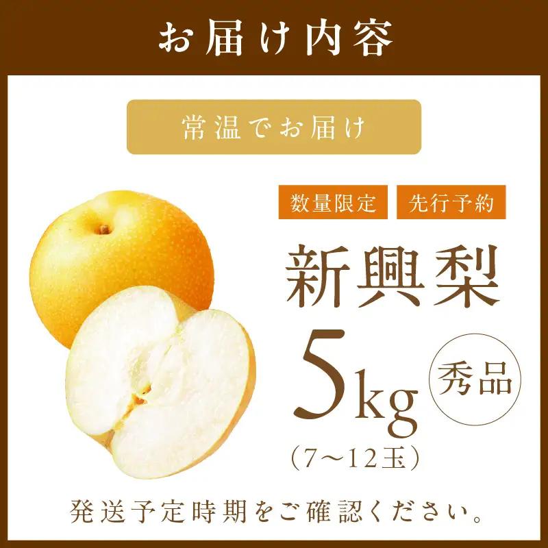 【2026年先行予約】京丹後産 和梨 新興 5kg（秀品）《9月下旬以降発送》
