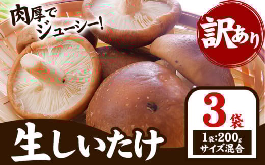 『訳あり』生しいたけ 200g×3袋(サイズ混合) 【配送不可地域あり】※離島 一般財団法人さなごうち 《30日以内に出荷予定(土日祝除く)》│ しいたけ 椎茸 シイタケ 生 大ぶり 食べ応え 厚い しいたけ 訳あり しいたけ 肉厚 しいたけ 醤油 徳島県 佐那河内村
