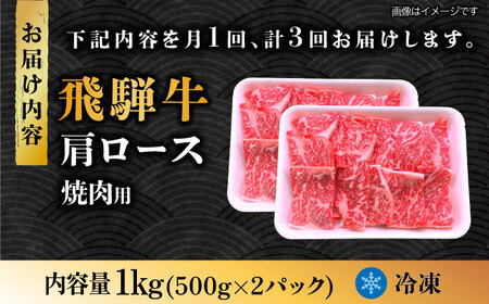 【3回定期便】 飛騨牛 焼肉用 ロース・肩ロース 1kg A4等級以上  多治見市 / 渡辺精肉店 和牛 ブランド牛 牛肉[TAZ035]