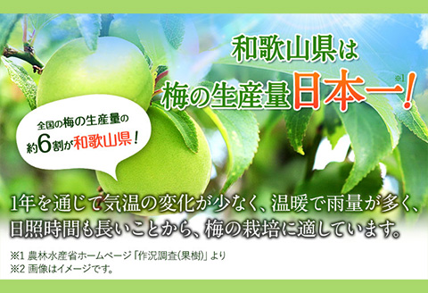 紀州完熟南高梅ねりうめ酒完熟梅酒飲み比べセット720ml×2本厳選館《90日以内に出荷予定(土日祝除く)》酒さけお酒飲み比べ---wsh_genknhu_90d_22_13000_2p---