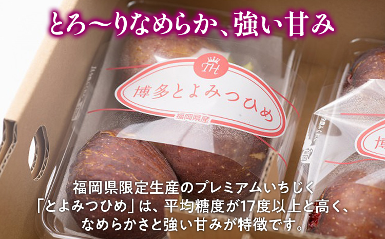 《先行予約》期間限定 いちじく 「とよみつひめ」 1.2kg 福岡県産ブランド フルーツ 無花果 (約300g×4パック) 1200g 南国フルーツ CO013
