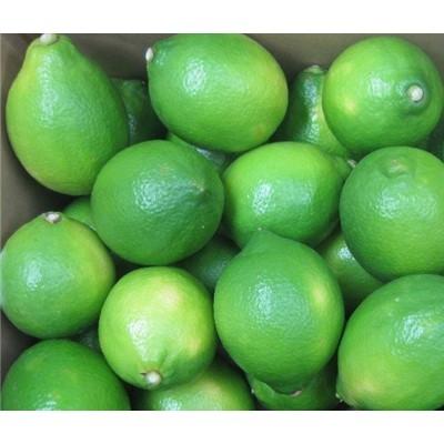 ふるさと納税 土庄町 【小豆島】小豆島ハウスレモン2kg |  | 01
