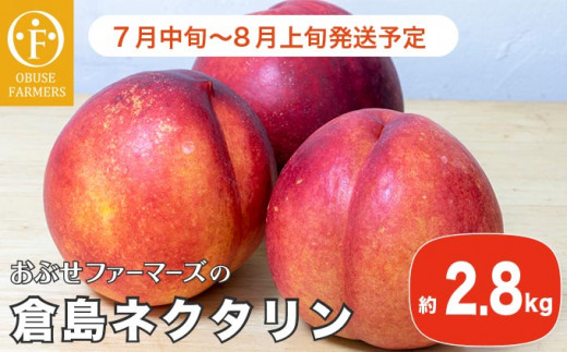 長野産 倉島ネクタリン 約2.8kg ［おぶせファーマーズ］先行予約 ネクタリン 果物 フルーツ 冷蔵便 クール便 長野県産 信州産 令和7年産【2025年7月中旬〜8月上旬発送】 ［F-46］