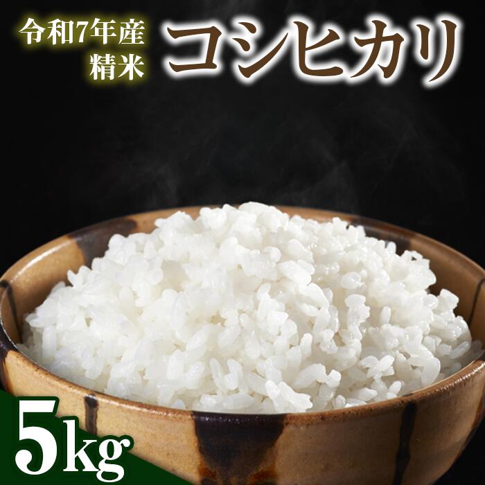 【ふるさと納税】 米 5kg 令和7年産 こしひかり 精米 米 こめ コメ 新潟県 産 おすすめ オススメ 一光農園