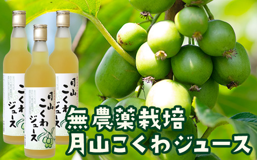 
FYN9-179 月山こくわジュース 100％原液 さるなし コクワ 無農薬 酸味 山形県 西川町
