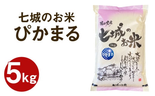 【令和7年産】 七城のお米 ぴかまる 5kg 米 白米 精米 こめ コメ お米 ごはん ご飯 熊本県産 《2025年10月中旬頃より出荷》