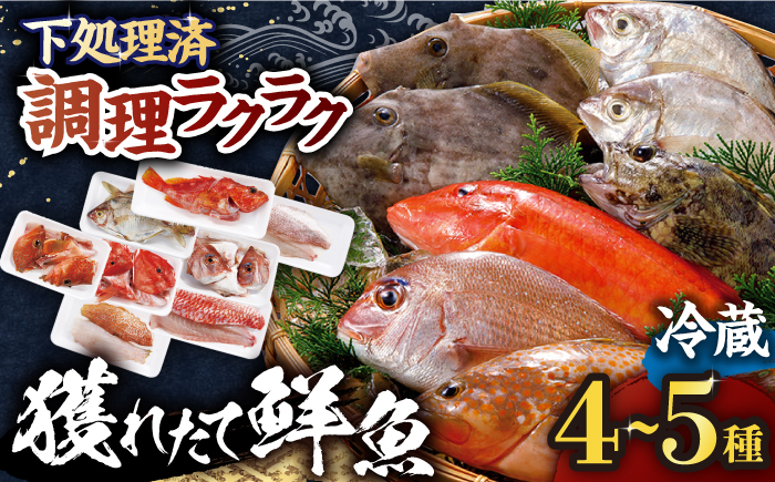 旬の獲れたて鮮魚 冷蔵4-5種【株式会社ひらど新鮮市場】[KAB030]/ 長崎 平戸 魚介類 魚 刺身 たたき 刺身 塩焼き 刺身 漬け丼 刺身 しゃぶしゃぶ 刺身 アレンジ 刺身 冷蔵 刺身 国産 刺身 長崎 刺身 