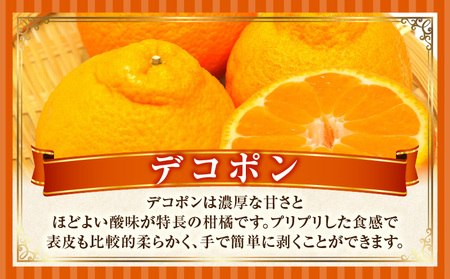 とれたて果物 3回定期便H |果物 フルーツ 果物定期便 フルーツ定期便 定期便キウイデコポンみかん 濃厚 旬の果物 定期 人気 おすすめ 贈答 贈り物 青果物 糖度 香川県 |_mk165-t072
