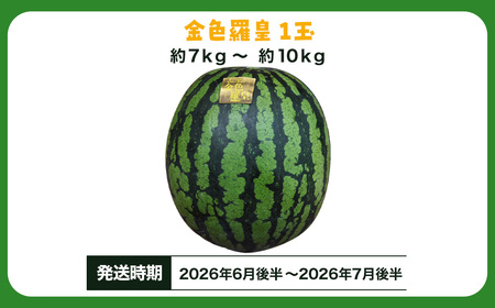 金色羅皇　SMAF004