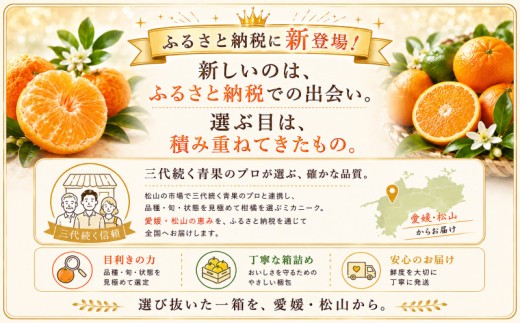 【知る人ぞ知る】 驚きの甘さ 【媛小春】 6kg 愛媛県産 【2027年1月下旬頃から順次発送】 | みかん ミカン mikan 蜜柑 訳ありフルーツ 柑橘 果物 おすすめ お勧め お取り寄せ ギフト