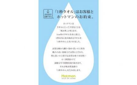 No.1078-02 【ギフト包装対応】【ブラウン】ホットマン1秒タオル　大判バスタオルギフト