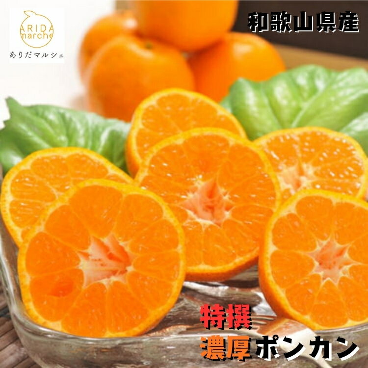 【ふるさと納税】【選べる内容量】【特選】濃厚 ポンカン ｜ みかん 蜜柑 柑橘 果物 フルーツ くだもの 果実 国産 和歌山県 晩柑