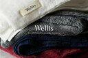 【ふるさと納税】Wellis　フルセット　ランドリーバッグ付き　（009_5136）