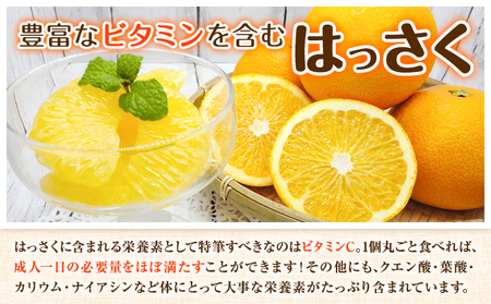 はっさく 皮むきに便利なムッキーちゃん付き 約5kg ときわオンライン【先行予約】