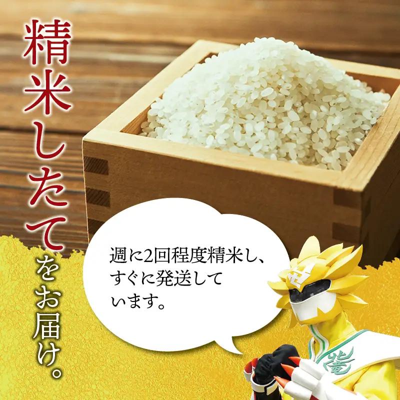 【令和8年産 新米 先行予約】 ゆめぴりか 10kg 北海道米 ※2026年10月中旬より順次発送予定 【uni400-yume-r10-R8】